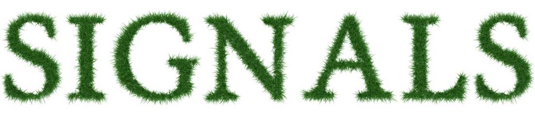 Signals - 3D rendering fresh Grass letters isolated on whhite background.