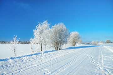 winter rural landscape with road, forest and blue sky.