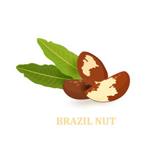 heap of brazil nuts with leaves for your design