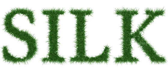Silk - 3D rendering fresh Grass letters isolated on whhite background.