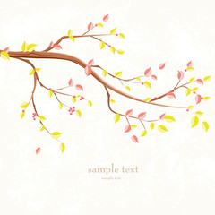 autumn invitation card with branch of tree for your design