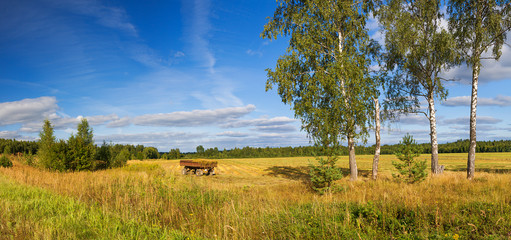 autumn rural landscape panorama, field, forest, blue sky and white clouds