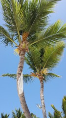Beautiful and unique landscape of Dominican Republic