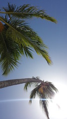 Fototapeta premium Beautiful and unique landscape of Dominican Republic