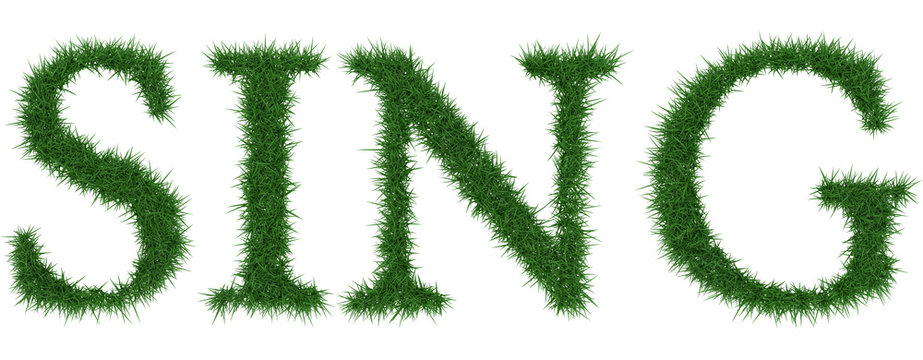 Sing - 3D rendering fresh Grass letters isolated on whhite background.