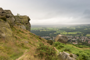 Fototapeta na wymiar Cow and Calf overlooking township of Ilkley in Yorkshire