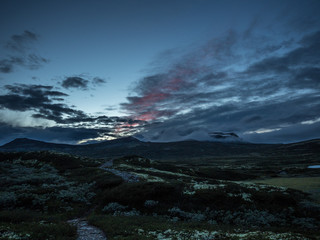 Fototapeta na wymiar The moss and bushes at sunset in the Rondane National Park in Norway - 6