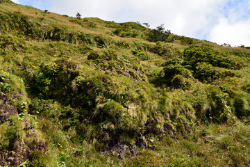 Peak of Pico da Vara (azores)