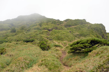 Fototapeta na wymiar Peak of Pico da Vara (azores)