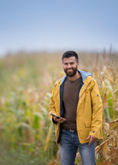 Naklejka na ściany i meble Farmer with tablet in corn field