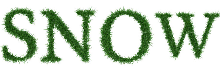 Snow - 3D rendering fresh Grass letters isolated on whhite background.