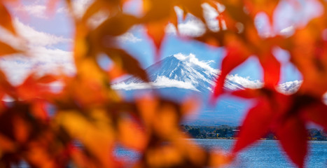 Mount Fuji in Autumn Color, Japan