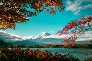 Mount Fuji in Autumn Color, Japan