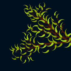 Green Leaves Dark Background