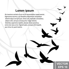 A flock of birds. Silhouette. Card. They're flying. For your design.