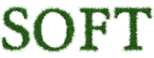 Soft - 3D rendering fresh Grass letters isolated on whhite background.