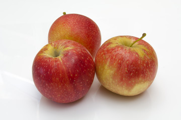 pommes gala