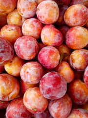Heap of ripe fresh red pink plums. Organic produce at farmer's market. Healthy clean food. Top view vibrant colors.