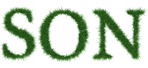 Son - 3D rendering fresh Grass letters isolated on whhite background.