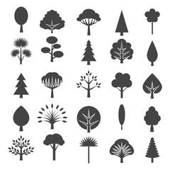 Tree icons isolated on white background. Coniferous and deciduous trees vector graphic symbols