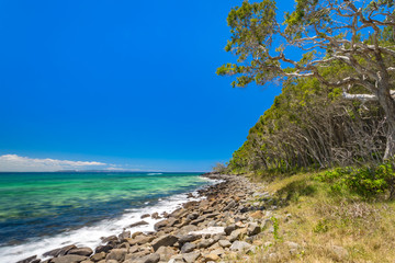 Fototapeta premium Beautiful day with blue sky on the coastline of Noosa National Park, Noosa, Queensland, Australia.