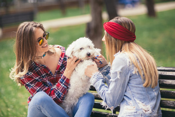 Two pretty girls playing with cute puppy in the park