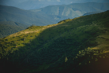 Green Hill Landscape