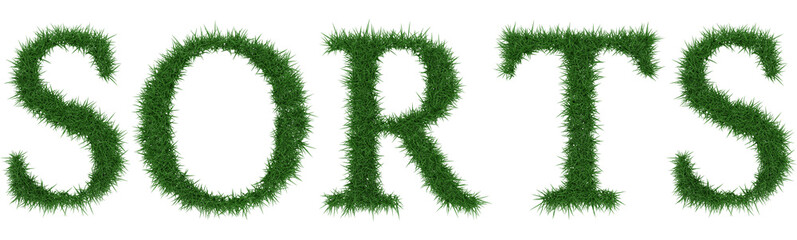 Sorts - 3D rendering fresh Grass letters isolated on whhite background.