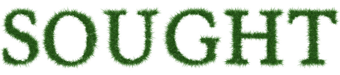 Sought - 3D rendering fresh Grass letters isolated on whhite background.