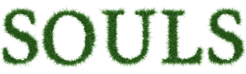 Souls - 3D rendering fresh Grass letters isolated on whhite background.