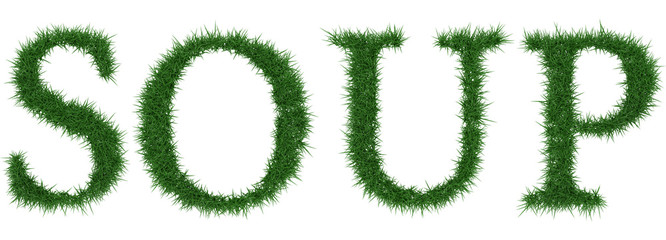 Soup - 3D rendering fresh Grass letters isolated on whhite background.