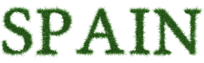 Spain - 3D rendering fresh Grass letters isolated on whhite background.