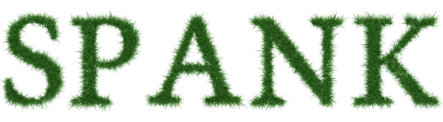 Spank - 3D rendering fresh Grass letters isolated on whhite background.