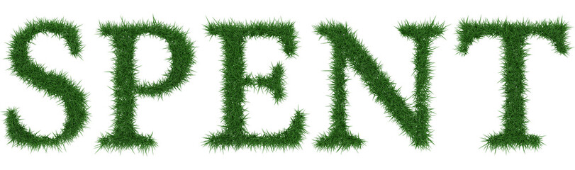 Spent - 3D rendering fresh Grass letters isolated on whhite background.