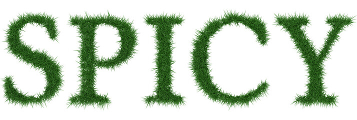 Spicy - 3D rendering fresh Grass letters isolated on whhite background.