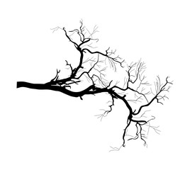 Tree Branch Shape