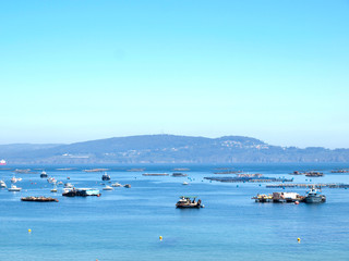 Boats in the bay and farming of mussels in Galician Coast