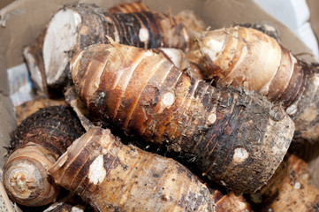 チンヌク（沖縄の里芋）