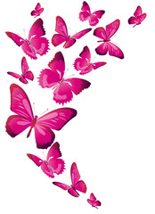 beautiful pink butterflies, isolated  on a white - 171845338