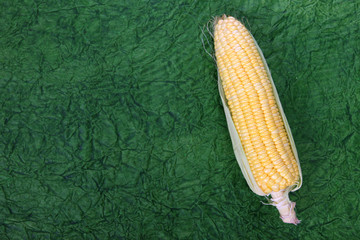 Fresh corn on cobs on texture background, closeup, top view
