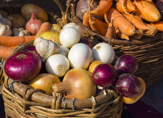 The composition of vegetables in a cart and in wicker baskets. Harvest of potatoes, onions, carrots, garlic.