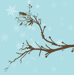 Winter Tree Branch Vector Background