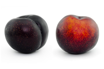 plums isolated on white background