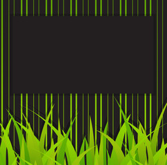 Grasses Business Banner
