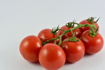 Tomatoes on a white background