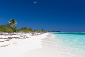 Fototapeta na wymiar Landscape of the beach in the Caribbean Sea