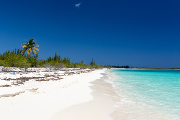 Landscape of the beach in the Caribbean Sea