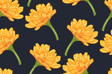 Naklejka premium Seamless botanical pattern with calendula flowers. Vector floral illustration vintage