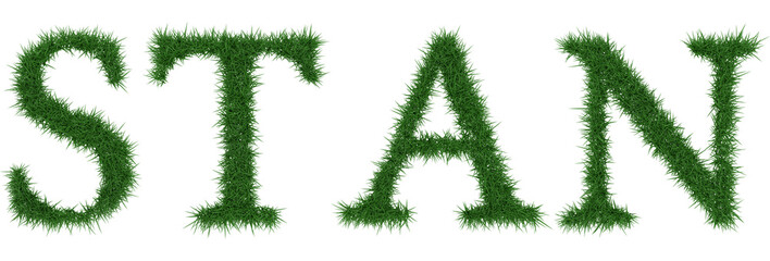 Stan - 3D rendering fresh Grass letters isolated on whhite background.
