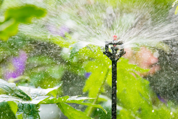 Garden irrigation with an automatic watering system